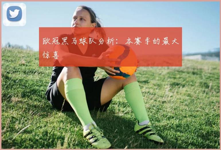欧冠黑马球队分析:本赛季的最大惊喜